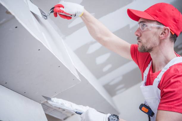 Best Drywall Removal and Disposal  in South Burlington, VT